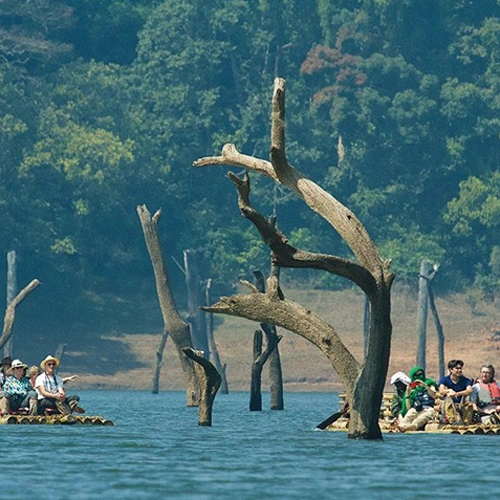 Tourist Attraction in Thekkady -Boating in Periyar Tiger Reserve