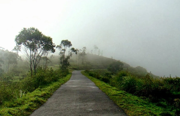 Tourist Activity in Thekkady - Gavi Tour