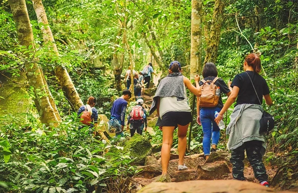 Tourist Activity in Thekkady - Nature Walk / Village Walk